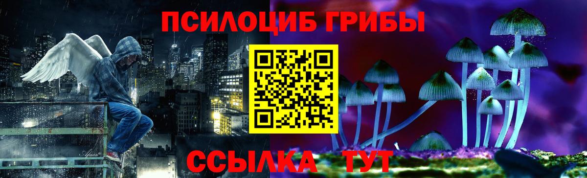 Псилоцибиновые грибы Psilocybe  Вход с VPN  Каменка 